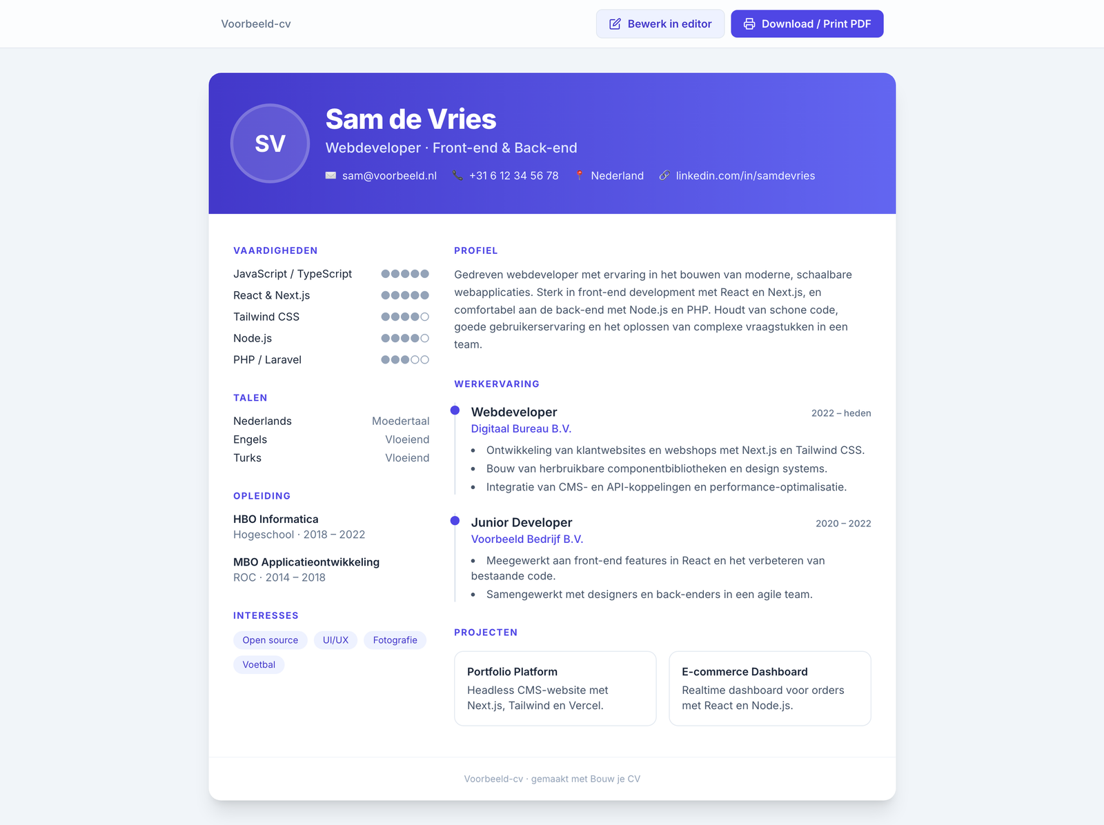 Voorbeeld-cv — print- en PDF-klaar